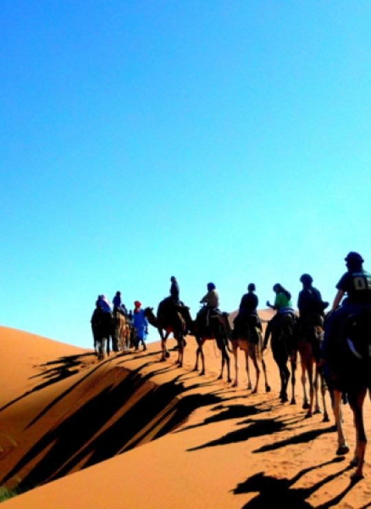 Tours and day trip in Morocco