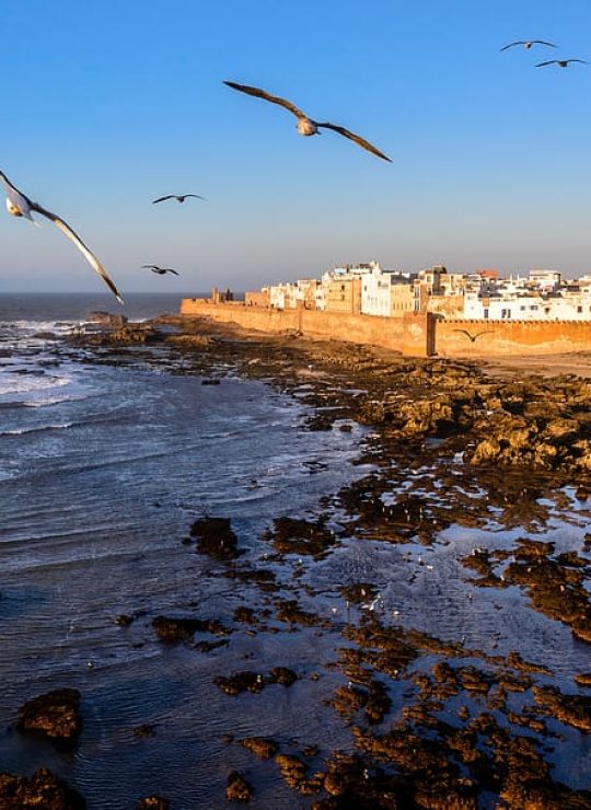 Tours and day trip in Morocco