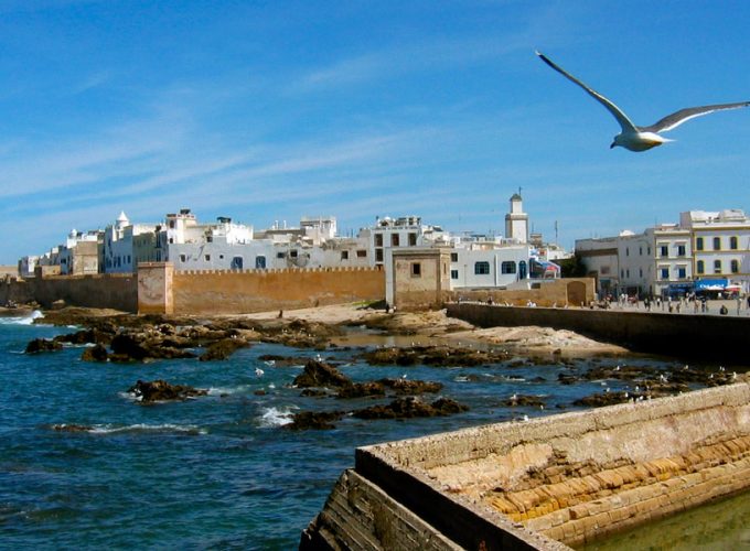 Tours and day trip in Morocco