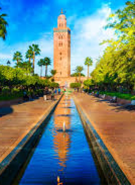 Tours and day trip in Morocco