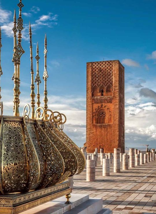 Tours and day trip in Morocco